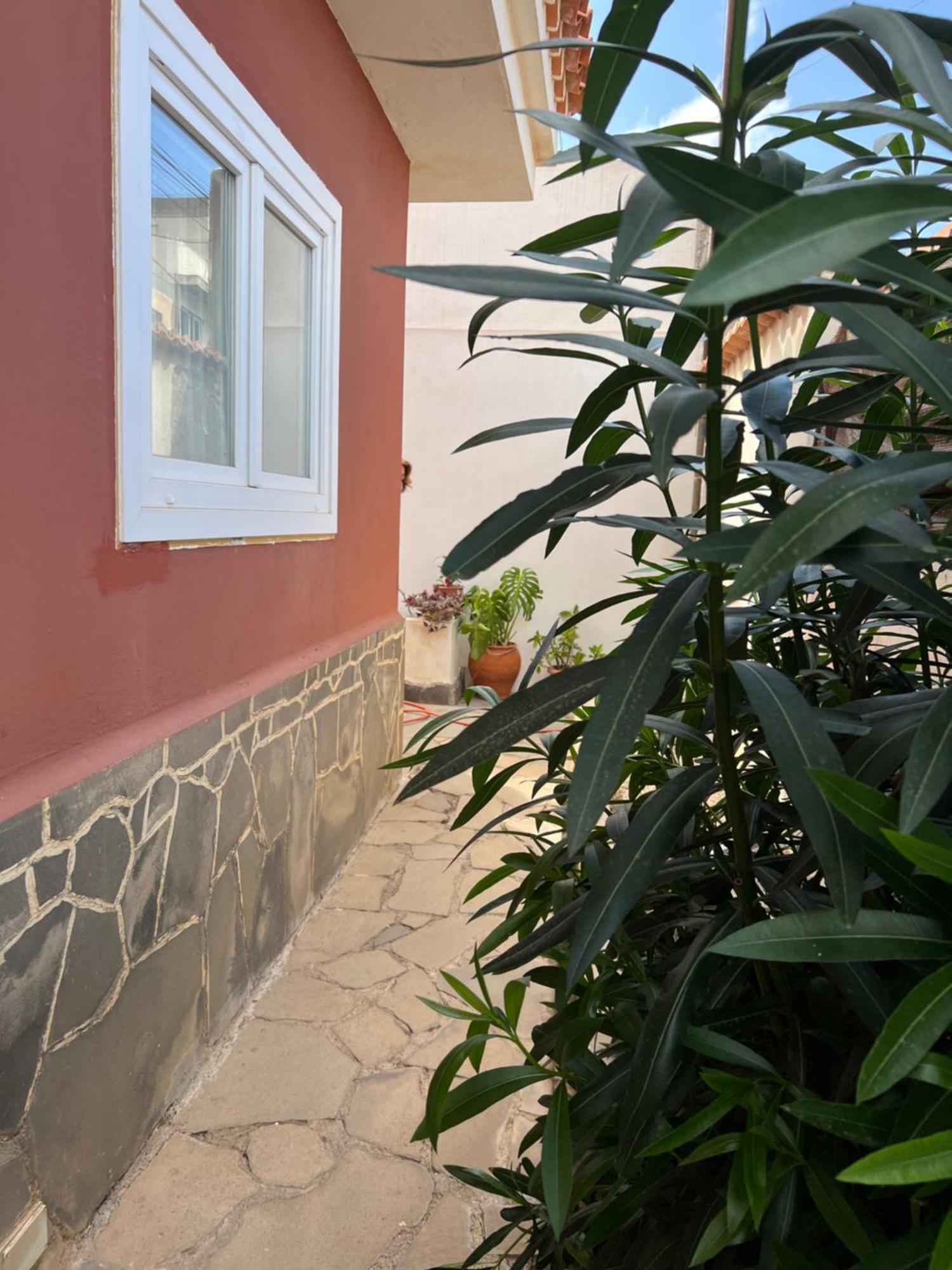 Atico Casa De Invitados Bluemoon Σαν Κριστόμπαλ ντε Λα Λαγούνα Εξωτερικό φωτογραφία